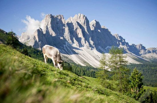 Mantingerhof in Funes - Alto Adige