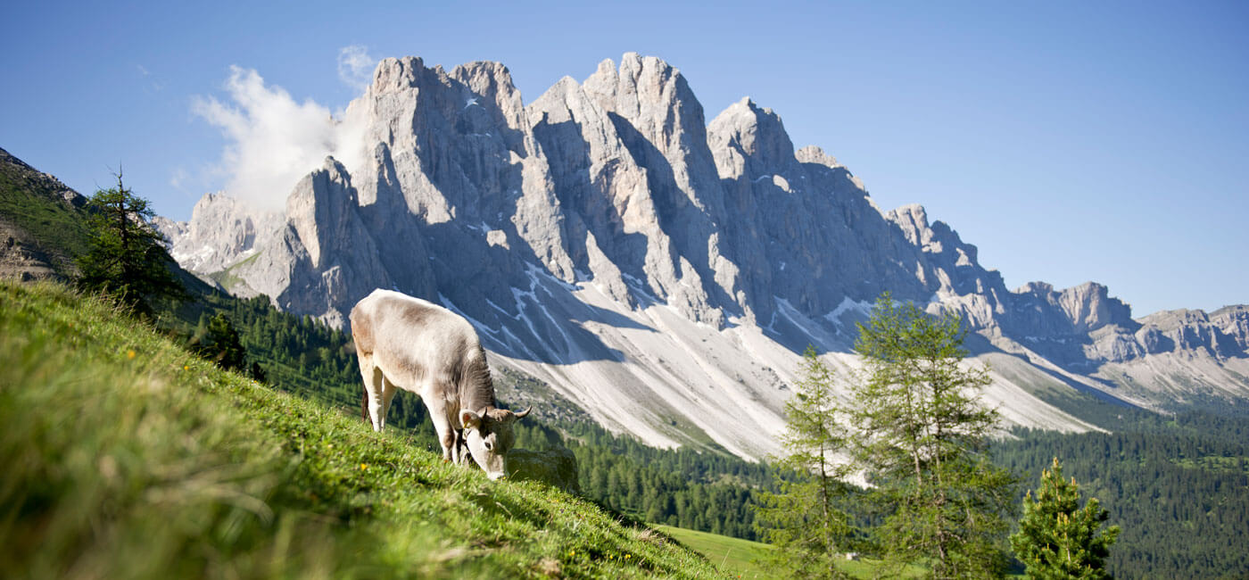 Escursioni nella Valle di Funes - vacanze estive nelle Dolomiti